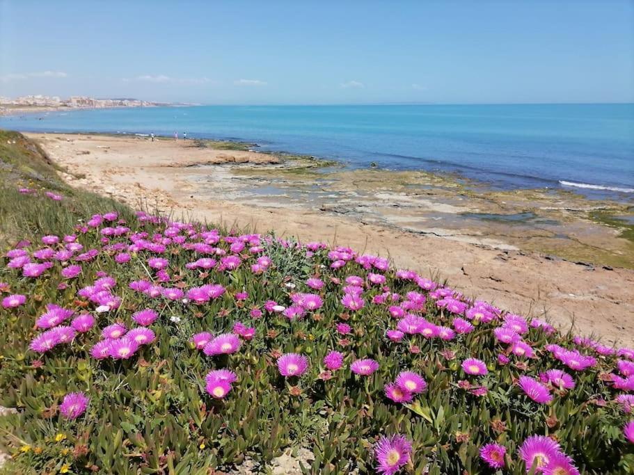 טורבייחה Brand New Apartment. 400 Meters Best Beach מראה חיצוני תמונה